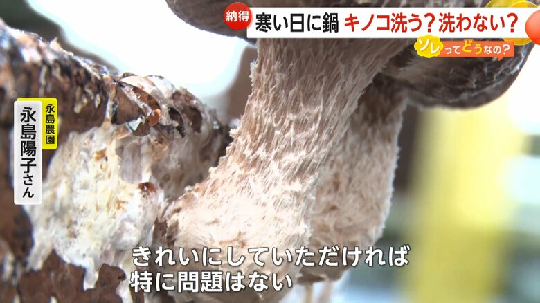 「ふいてきれいにすれば特に問題ない」と話すキノコ農家の永島陽子さん