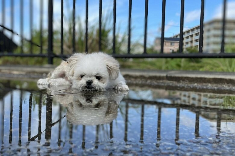 （投稿画像とは別日に撮影）