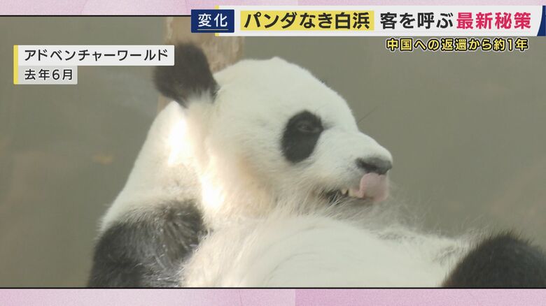 パンダから「自立」