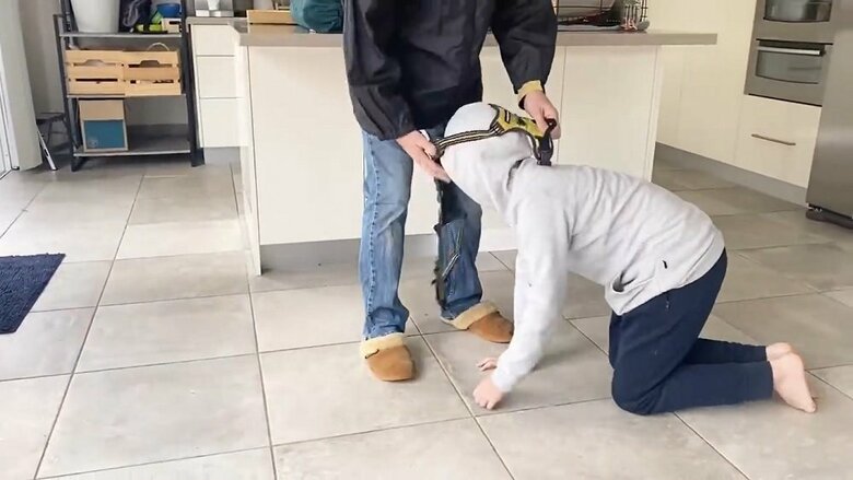 犬に成りきる長男はハーネスを装着していく