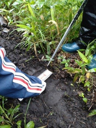 残された幅18cmほどの大きな足跡（7月11日　提供：牧場経営者）