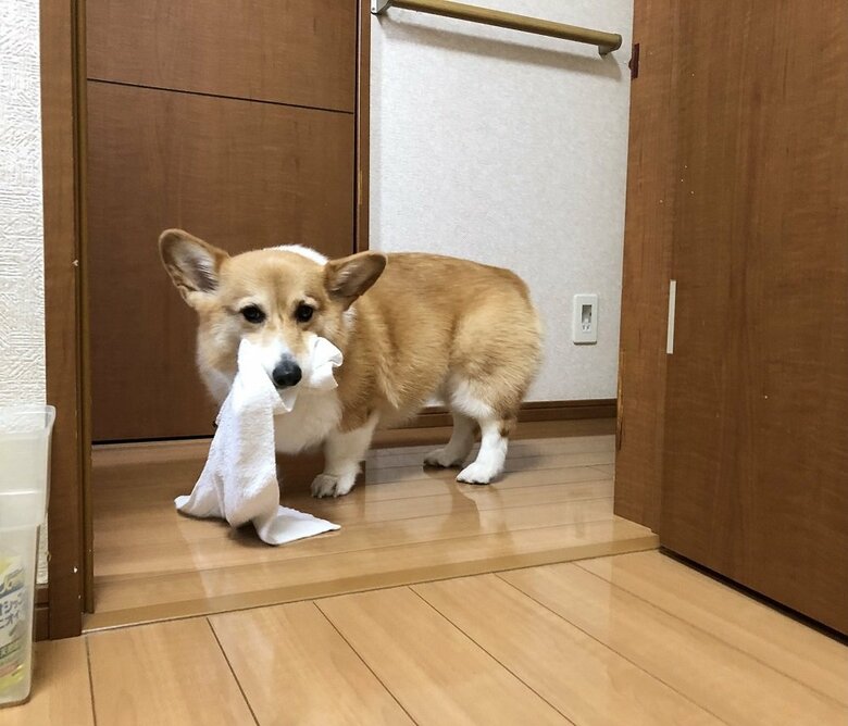 気に入った物は持ち歩く