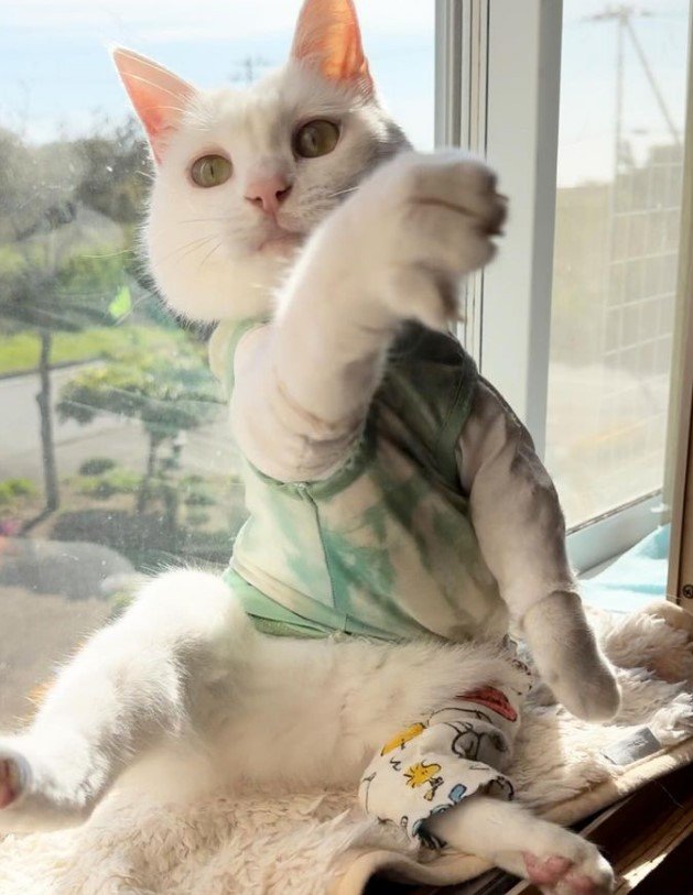 提供：しんばぷーさん