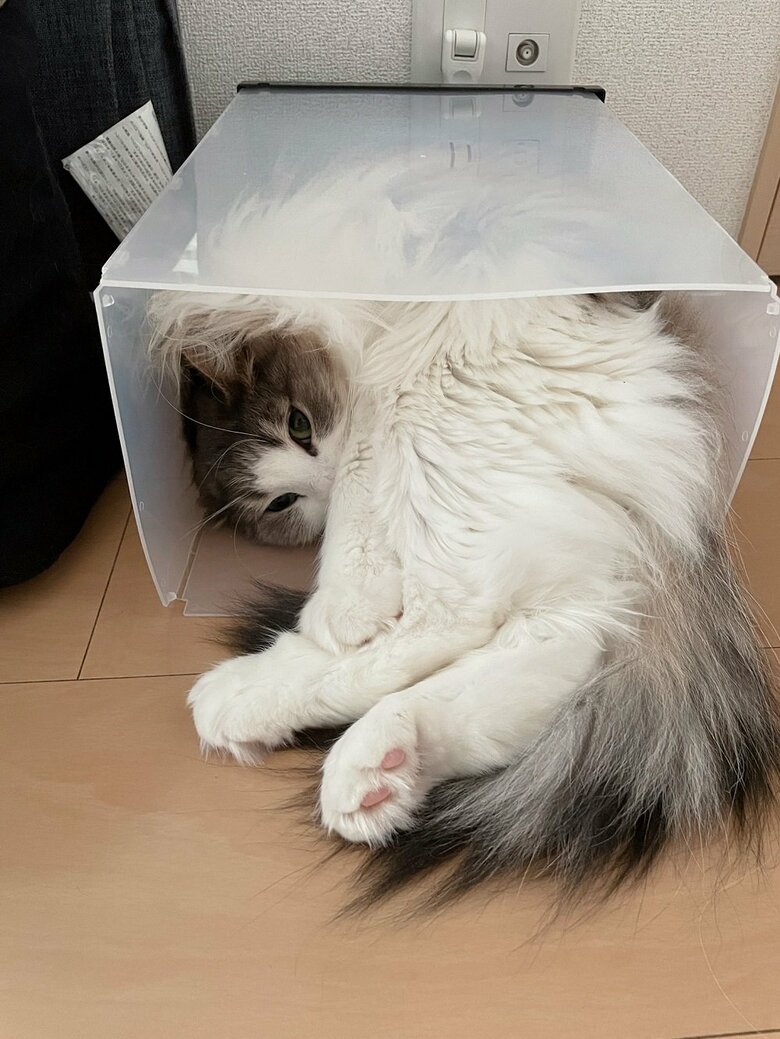 ケースは普段、横にして置いている