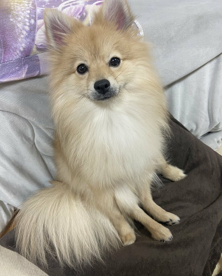 はちみつちゃん