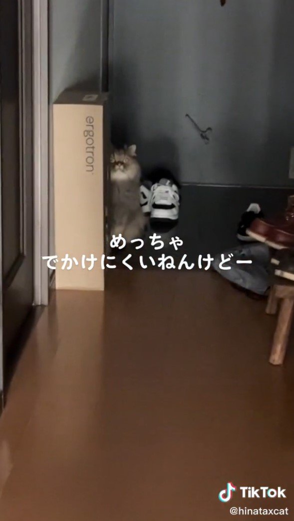 提供：ひなたさん