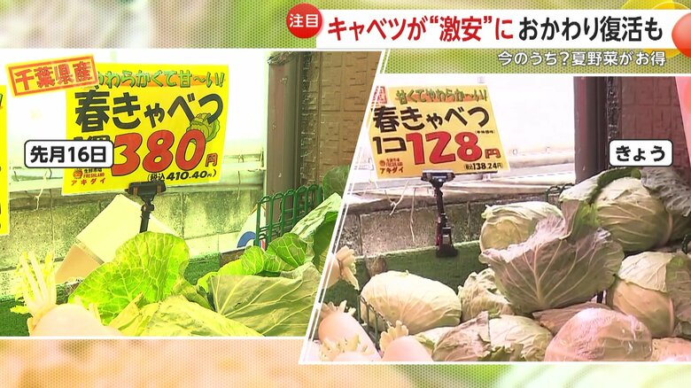 キャベツの価格は一時期と比べると1/3に