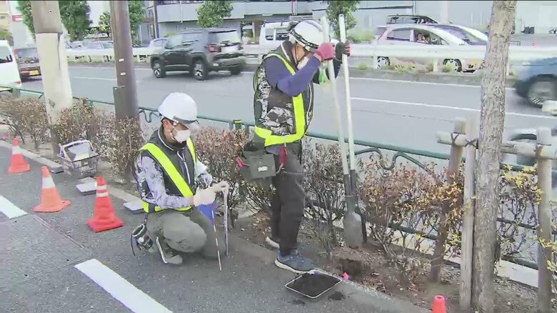 土壌の調査をする人たち