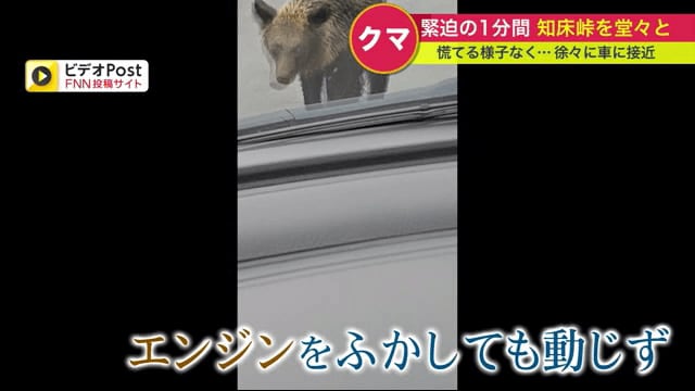 エンジンをふかすが…全く動じず