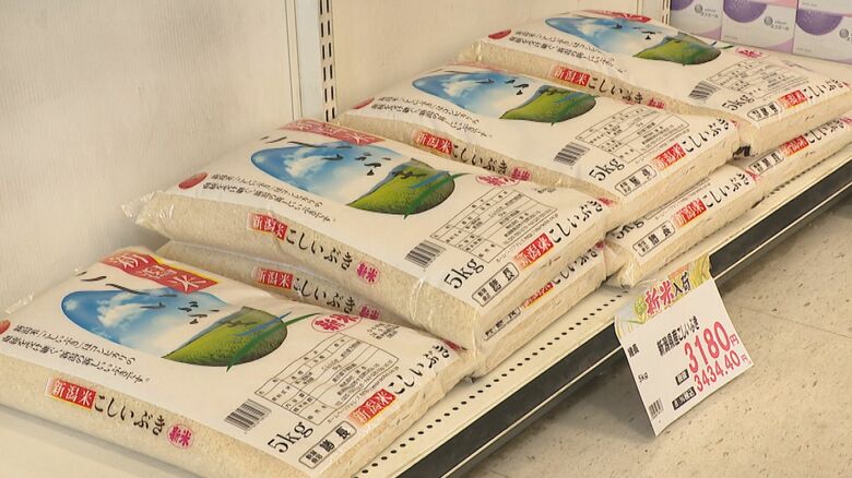 こしいぶきの新米