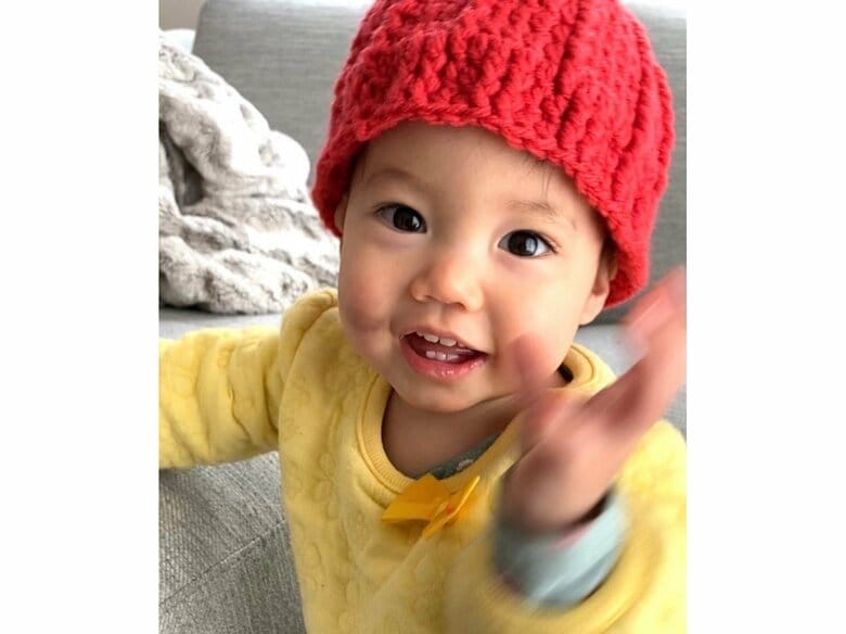 レイラちゃん（提供：lay_la_tk_sさん）