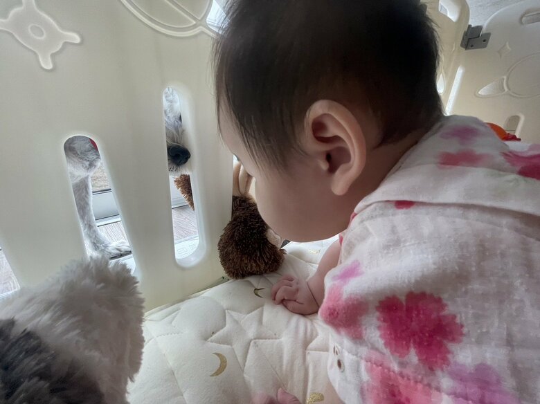 おもちゃゲットに成功？（提供：こんぶさん）