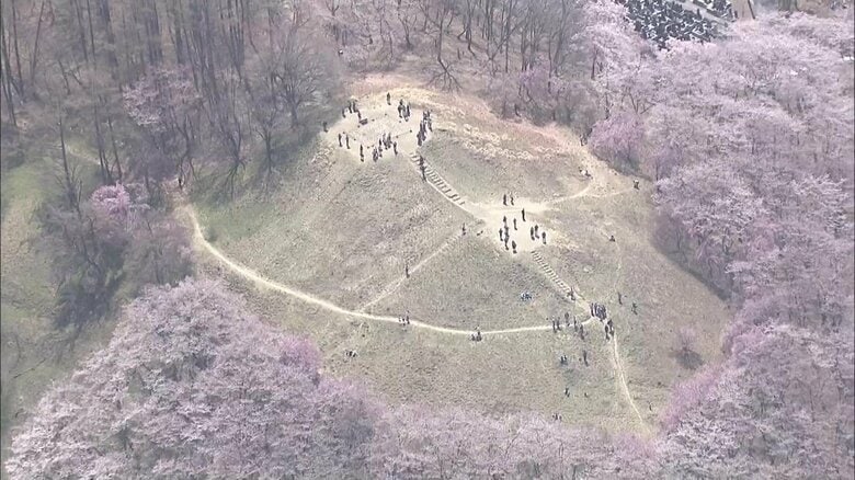 弘法山古墳