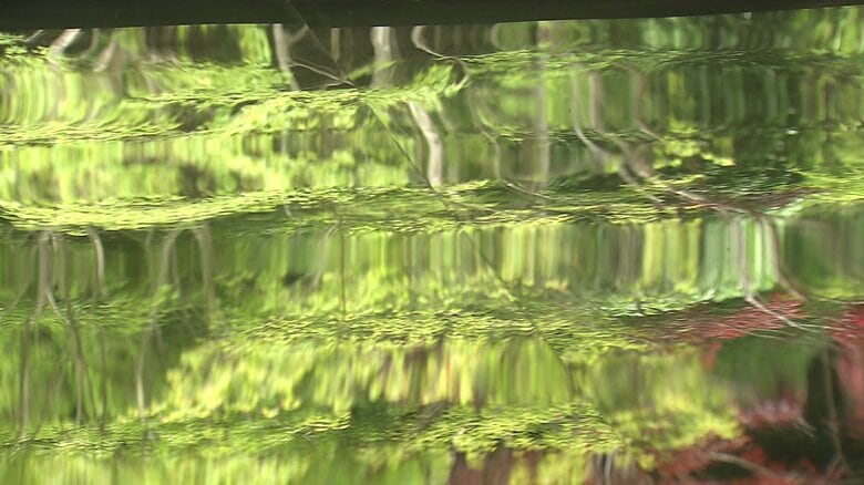 見る角度で変化を楽しめる