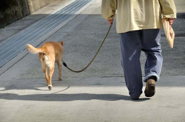 （画像はイメージ）