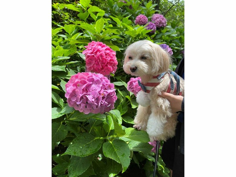 “興味ない”って顔のみるくちゃん