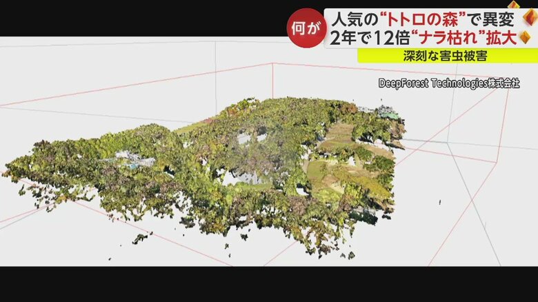 ドローンとAIを活用した新たな取り組み