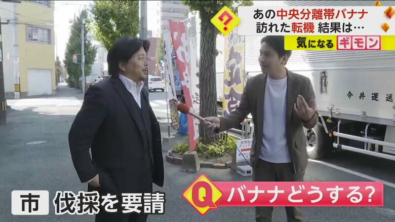 市は男性にバナナを伐採するように要請したという