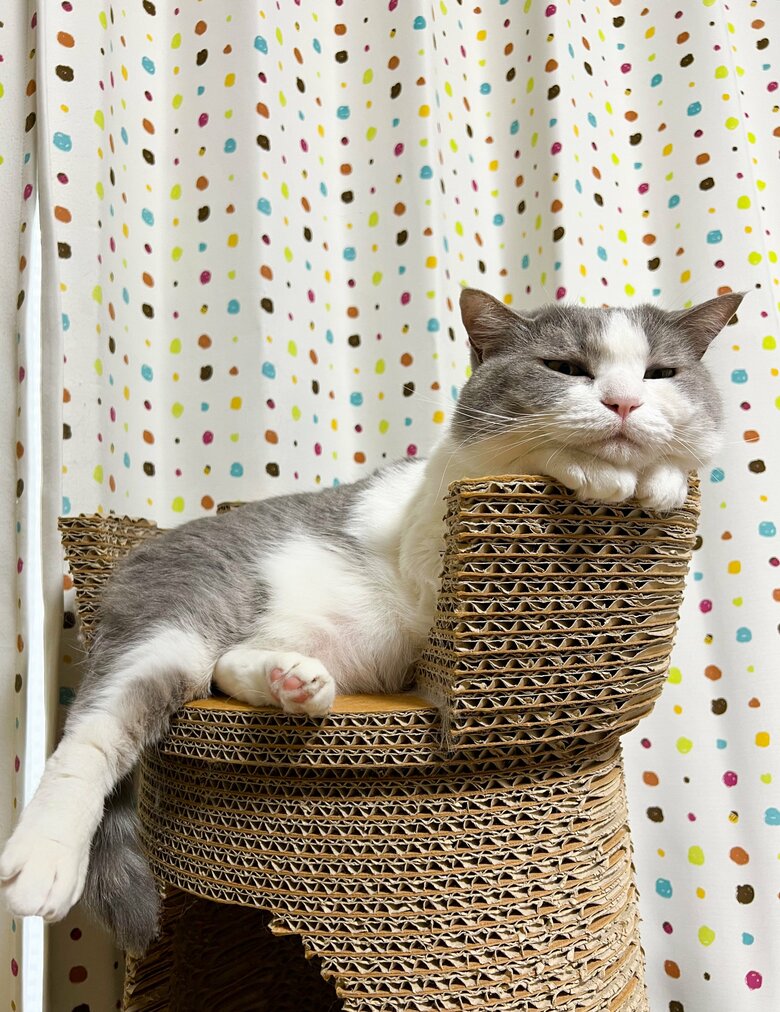 提供：いずもん/まろ様さん