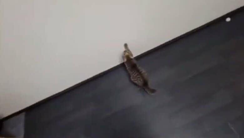 壁の前で構えて…