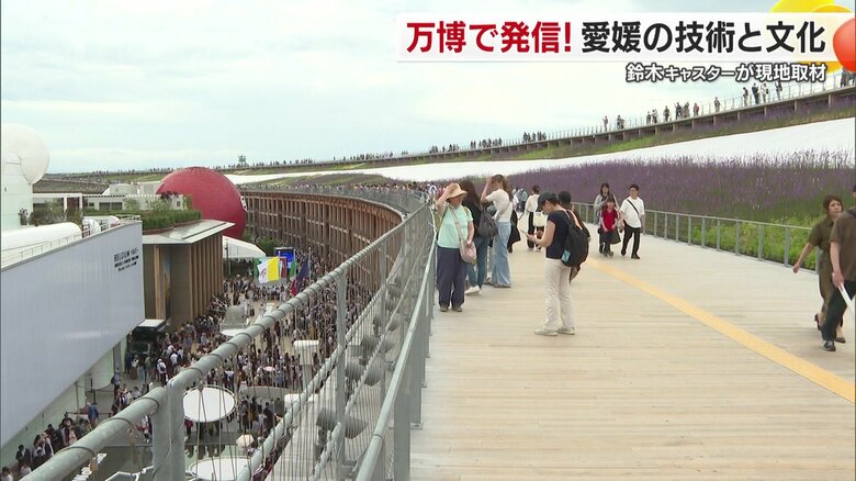 絶景の空中散歩を満喫できる