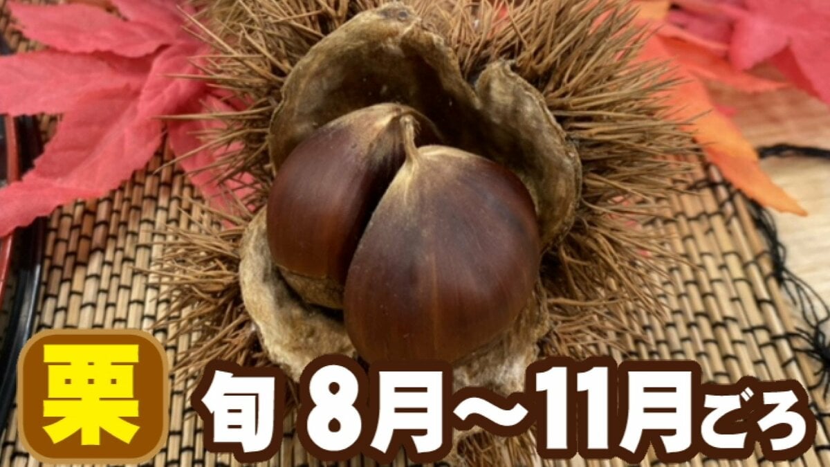 モンブランも栗きんとんも…秋の味覚「栗」食べている黄色い部分は“種” では果肉は一体どこ？｜FNNプライムオンライン