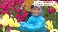 となみチューリップフェア賑わう キャッシュレス決済が新しく導入され駐車場の混雑緩和につながる