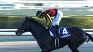 【第70回 有馬記念・GⅠ】古馬撃破！3歳ミュージアムマイルがグランプリ制す　C.デムーロ騎手は7度目の挑戦で悲願達成！