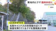 仙台高専で子グマ目撃 体育館近くに…臨時休校　さらに1カ月間登校禁止でオンライン授業へ〈宮城〉
