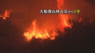 大船渡市の“平成以降国内最大”山林火災から1年　復興の課題は今も山積　岩手県
