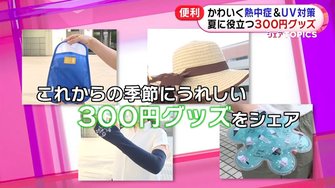 安くてカワイイ 夏の暑さを乗り切る300円グッズをご紹介 紫外線 熱中症対策グッズが人気
