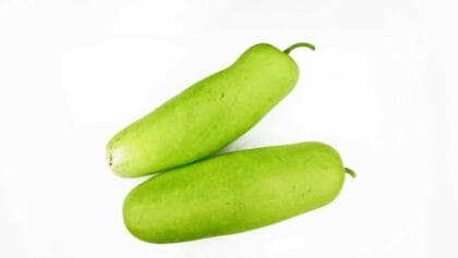 スーパーで購入の「ユウガオ」で食中毒　強い苦みを感じ…みそ汁にして食べた夫婦に吐き気などの症状　