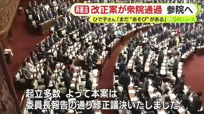 再審制度見直しなどを盛り込んだ改正案が衆院通過　袴田巖さんの姉・ひで子さん「まだまだ“あそび”がある」