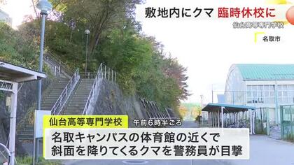 仙台高専で子グマ目撃 体育館近くに…臨時休校　今週末まで登校禁止でオンライン授業へ〈宮城〉