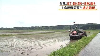 国産主食用米、6月までの年間需要量は過去最低の683万トン　秋田は加工用米・輸出用米へ転換の動き