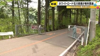 色鮮やかな新緑の絶景…石川と岐阜を結ぶ『白山白川郷ホワイトロード』石川県側の無料区間4.5kmが開通