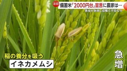 米高騰】小泉農水相が「楽天」三木谷会長に備蓄米ネット販売の協力要請