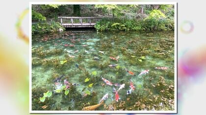 モネの池”と脚光浴びてから7年…岐阜・関市にある「名もなき池」池の