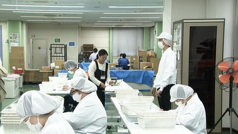 障害ある従業員の働く姿を家族に　「ファンケルスマイル」の“職場参観”