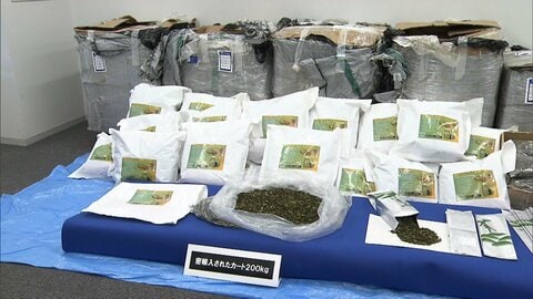 違法植物片「カート」を販売目的で密輸し所持…ソマリア国籍の男を逮捕・起訴　関係先などから約250kgを押収