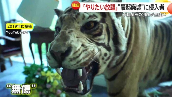 約5年前に投稿された家の中の様子