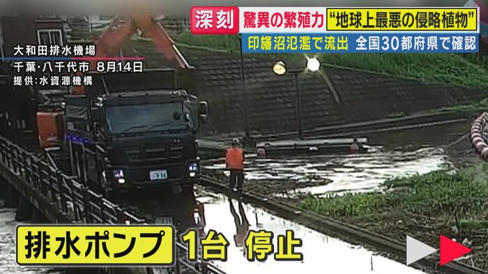 排水ポンプが停止(関西テレビ「旬感LIVE とれたてっ!」より)