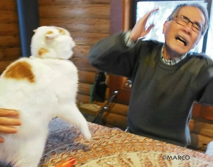 提供:MARCOさん