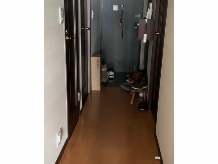 提供:ひなたさん
