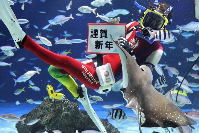 提供:サンシャイン水族館