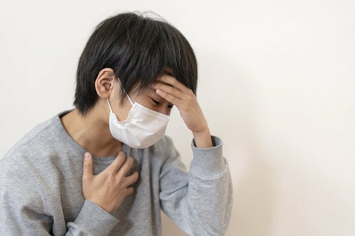 (画像はイメージ)