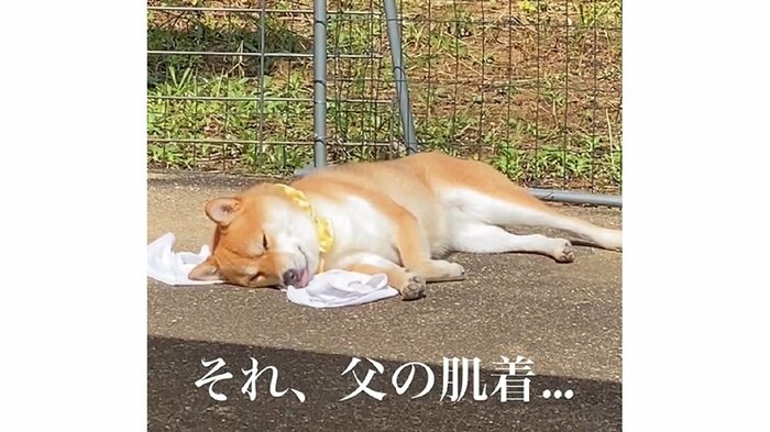 ゴロンと寝っ転がってムニャムニャ
