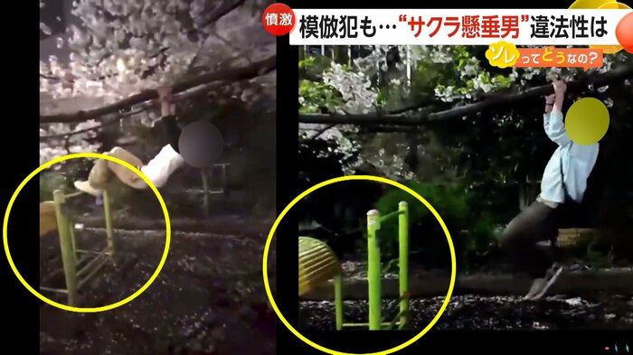 2つの動画の比較