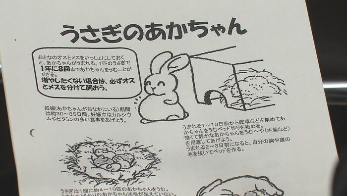 ウサギはネコ以上に繁殖力が強いことなどを説明