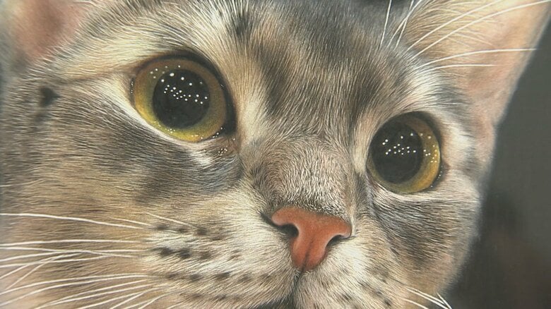 「まるで本物の動物が目の前に」色鉛筆の驚異的写実表現で注目の音海はる展、富山で開幕 地元ゆかりのライチョウ作品も｜FNNプライムオンライン